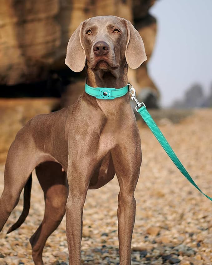 Reflective Dog Leash 4ft Soft Padded Handle Nylon Lead for Small & Medium Dogs, Durable Walking Training Leash for Night Safety (Turquoise,1Inch Wide)