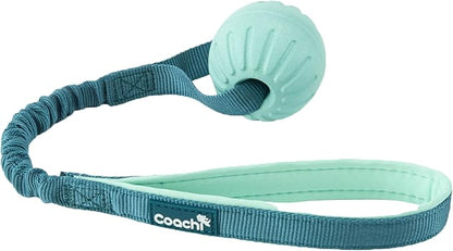 Coachi Puppy & Mini Tuggi Ball - Lightweight, Tough Dog Toy, Stretchy Bungee Handle, Reward Training, Agility, Recall, Interrupt Biting & Chewing, Suitable for Small Dogs & Puppies