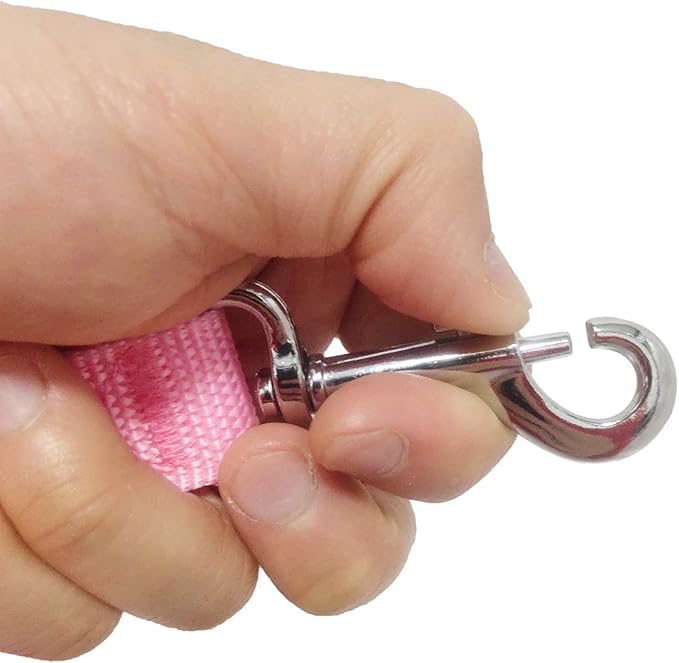 TAIAN Adjustable Nylon Dog Leash, 6 Foot Long Dog Leashes for Medium Large Dogs Pink