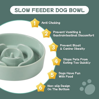 Ceramic 0.9 Cup Raised Dog Slow Feeder Set, Elevated Bowl with Wooden Stand for Small Dog and Cat, 6.1inch Puzzle Slow Dog Food Dish, Anti-Gulping(Light Green, Single Bowl+ Stand)