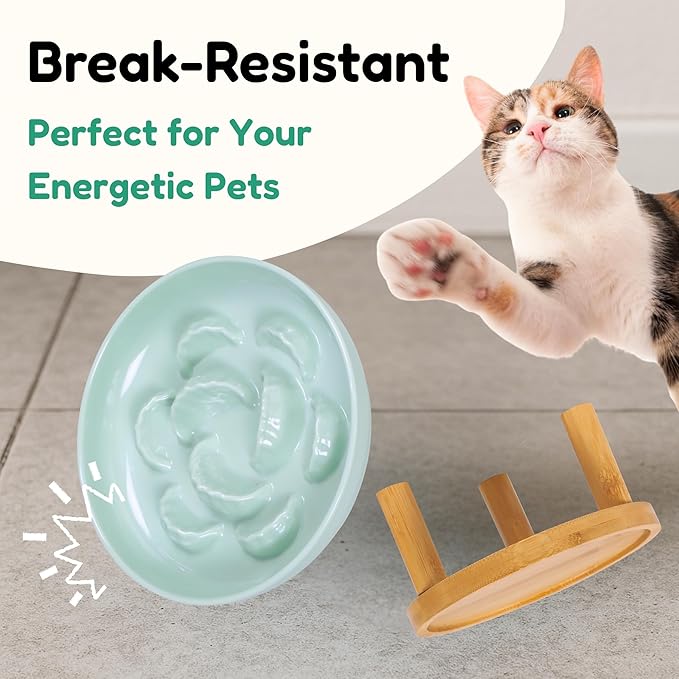 Slow Feeder Bowl, 6.3″ Elevated Cat Bowl with Stand, Melamine Wide Shallow Food Bowl, Whisker-Friendly Raised Plate, Wet Food Feeder for Slow Eating (Green)