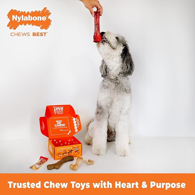 Nylabone Dog Gift Box, Includes 3 Strong Chew Toys and 1 Natural Treat, Gifts for Dogs, Large - Up to 50 lbs, 4 Pack