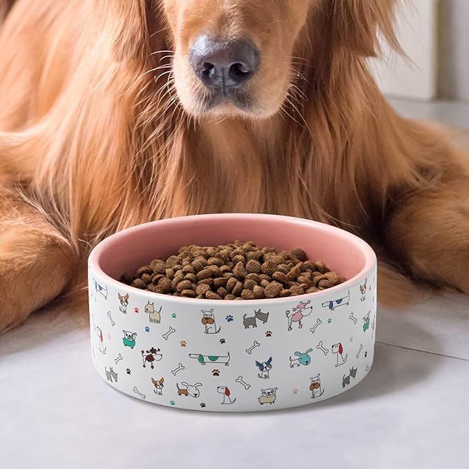 Fun Elements Ceramic Dog Bowls, Large Sized 64 Fl Oz Heavy Food and Water Bowl for Medium Dogs with Adorable Patterns (Large, Pink)