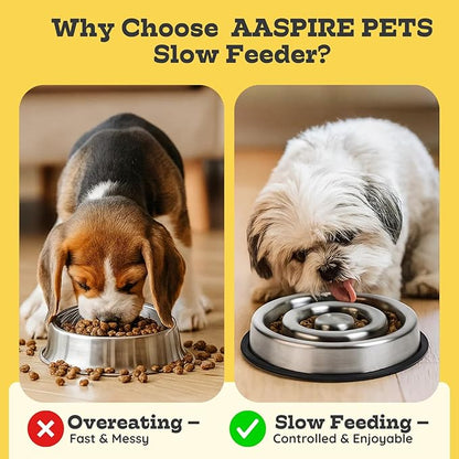 1.2 Cup (9.5 oz) Slow Feeder Dog Bowls, Shallow Spiral Style Stainless Steel Small Dog, Cat Dry, Wet Food Dishes Fast Eater Nonslip Heavy Feeding Puzzle Bowl, Slow Down Eating