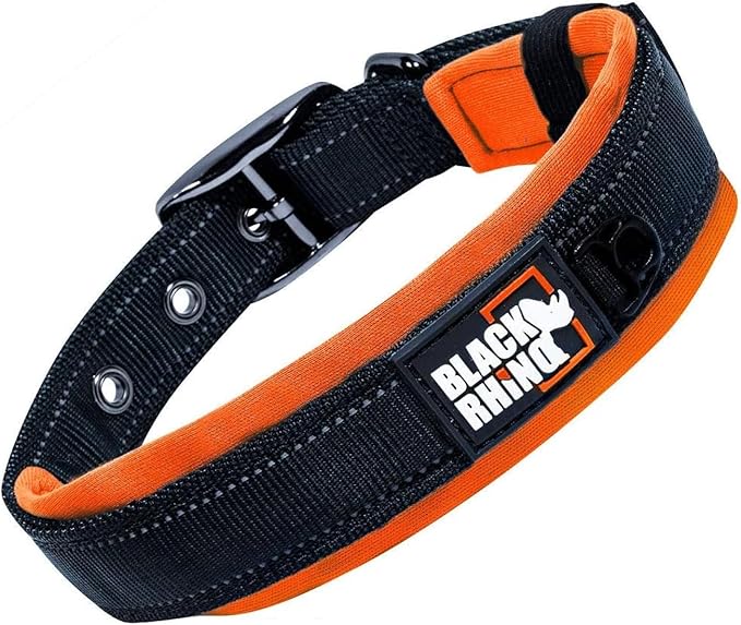 Black Rhino Dog Collars for Medium Dogs - Adjustable Reflective Heavy Duty Dog Collar with Ultra-Soft Neoprene Padding - Weatherproof, Durable, and Comfortable for Active Dogs - Orange and Black