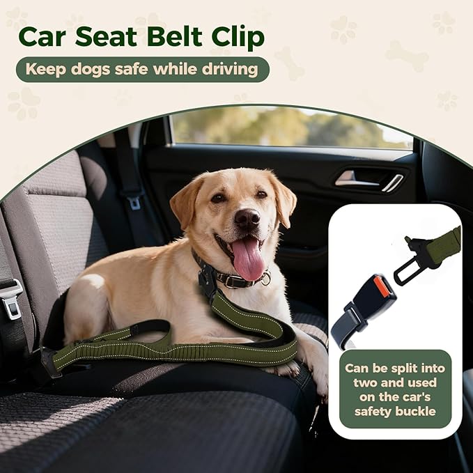 Detachable Heavy Duty Tactical Dog Leash, 9.7FT Hand-Free Bungee Shock Absorption Leash with Padded Handle Quick Release Metal Clip Car Seatbelt No Pull Training Lead for Large Medium Dogs (Green)