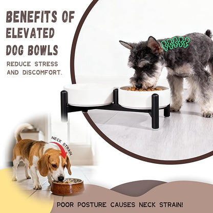Raised Ceramic Dog Bowl Set - Elevated Double Dishes with Stainless Steel Stand - Food and Water Bowls for Small Dogs and Indoor Cats - Each Holds 2.1 Cups (14 fl oz) - White