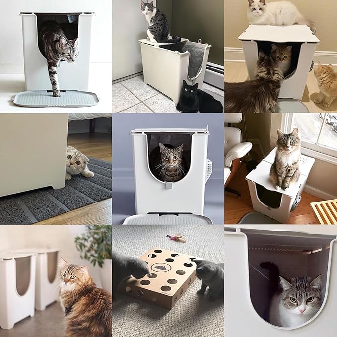 Modkat Flip Litter Box – Front-Entry Design with Integrated Liner System