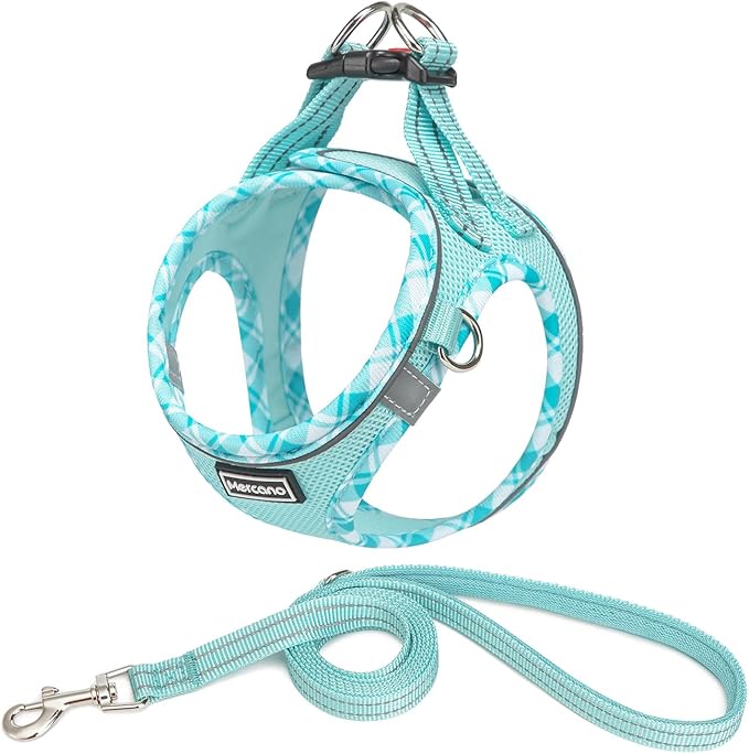 Mercano Soft Mesh Dog Harness and Leash Set, No-Chock Step-in Reflective Breathable Lightweight Easy Walk Vest Harnesses with Safety Buckle for Small Dogs, Cats (Light Blue, XL)
