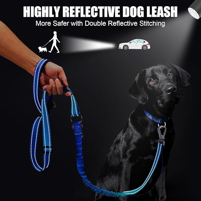 Heavy Duty Hands Free Dog Leash, 5-7 FT Reflective Adjustable Waist Dog Leash Belt with Padded Handles, Shock Absorbing Bungee and Car Seat Belt for Large Medium Dogs (Gradient Cobalt, XL)