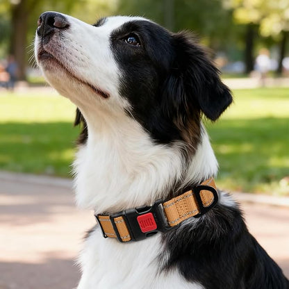Taglory Reflective Dog Collar with Safety Locking Buckle, Soft Neoprene Padded Dog Collar for Medium Dogs, Metal D-Ring, Adjustable Nylon Neck Strap for Daily Walking, Training & Running, Tan, M