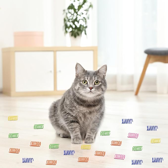 Andiker 30Pcs Cat Spiral Spring, Colorful&Durable Cat Spring Toys Plastic Cat Toys for Indoor Cats Swatting, Biting, Hunting to Kill Time and Keep Fit Cat Interactive Toy for Cats and Kittens (30pcs)
