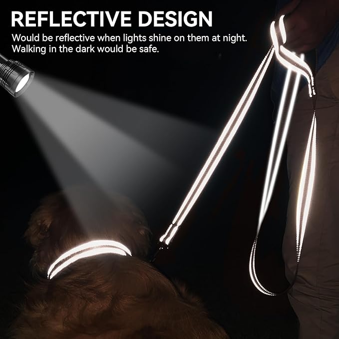Joytale Double-Sided Reflective Dog Leash, 4 FT, Padded Handle Nylon Heavy Duty Leashes for Small & Medium Dogs Walking, Brown