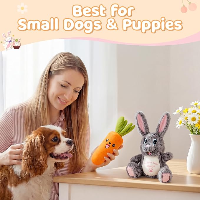 Dog Toys for Small Dogs, Cute Bunny & Carrot Plush Squeaky Dog Toy Set with Crinkle Paper, Soft Interactive Puppy Toys for Indoor Play, Gentle Chewers, 2 Pack