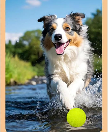 Indestructible Dog Ball, Durable Dog Balls for Aggressive Chewers, 2.4" Durable Teething Chew Toys, Interactive Fetch Ball for Medium/Small Dogs