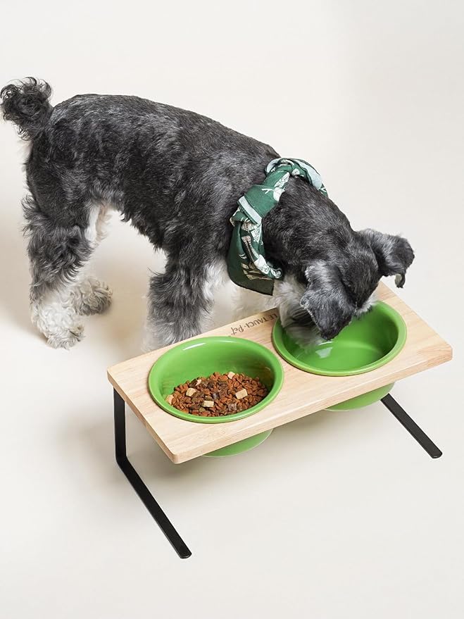 Elevated Dog Bowls, Raised Dog Bowl Stand with Two 6.5 inch Ceramic Bowl, Non-Slip Puppy Food and Water Bowls, Dogs Feeder for Small and Medium Breed,Green