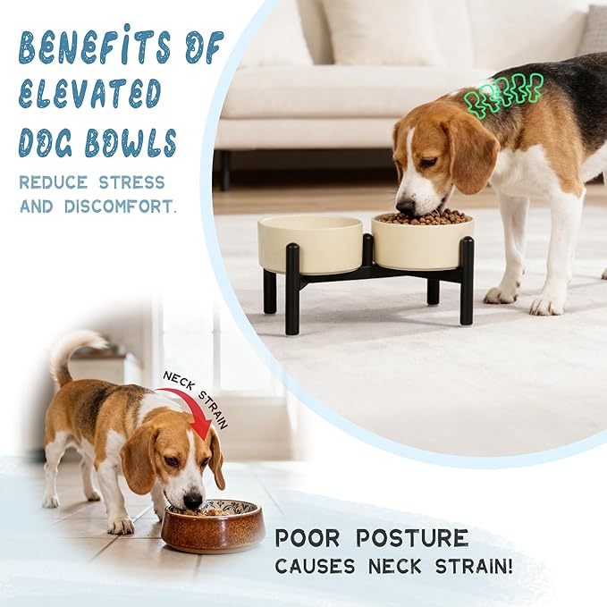 Ceramic Elevated Dog Bowl Set - Dog Feeder Station with Cute-Style Double Bowls for Small and Medium Size Breed - Non-Slip Raised Dish for Food and Water Feeding- 6 Inch - 3.5 Cups / 20 fl oz - Khaki