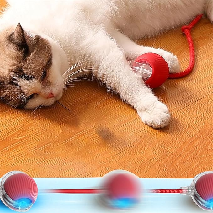 2PC Interactive Dog and Cat Ball Toy - Electric Rolling Toy with 360 Automatic Movement for Pets (Green+Green)