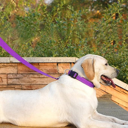 Reflective Dog Leash 6 FT Padded Handle Nylon Dogs Leashes for Medium Dogs Dark Magenta