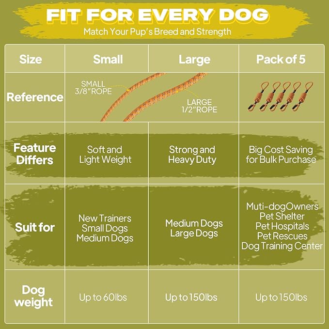 Fida Durable Slip Lead Dog Leash Bulk Pack of 5, Heavy Duty 1/2" x 6 FT Comfortable Strong Rope Slip Lead for Large, Medium Dogs No Pulling Pet Training Leash with Highly Reflective (Orange)