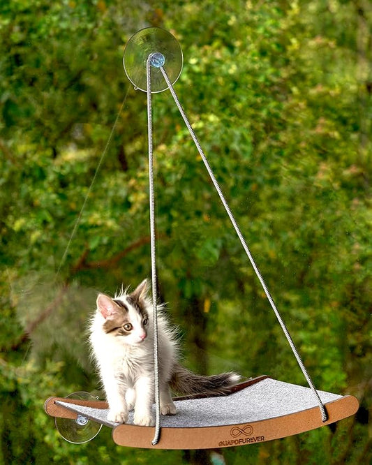 Durable Window Cat Bed – Eco, Heavy-Duty Suction Cups, cat Window Hammock & Washable Cover, Space-Saving Window Seat, Strong Suction Cup Window Perch for Indoor Felines (Medium)