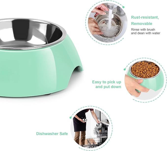 Elevated Dog Bowls Set - Non-Slip Raised Pet Feeder with Medium (2 Cups) & Large (4 Cups) Stainless Steel Bowls - Includes Durable Resin Stand for Corgi Puppies and Adult Cats - Green