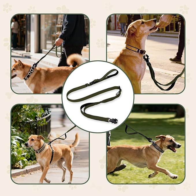 Detachable Heavy Duty Tactical Dog Leash, 9.7FT Hand-Free Bungee Shock Absorption Leash with Padded Handle Quick Release Metal Clip Car Seatbelt No Pull Training Lead for Large Medium Dogs (Green)