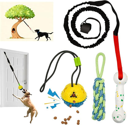Bungee Dog Toy for Puppy Small Medium Dogs, Indoor Spring Pole Hang Over Door Frame, Outdoor Tether Rope for Yard Tree, Interactive Tug of War Pull Toy for Self Play Training Exercise