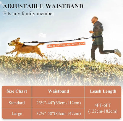 VIVAGLORY Hands Free Dog Leash Bungeeone Running Dog Leash with Waist Belt for Running Walking & Jogging, Bungee & Around Waist for Pet, M, Black/Orange