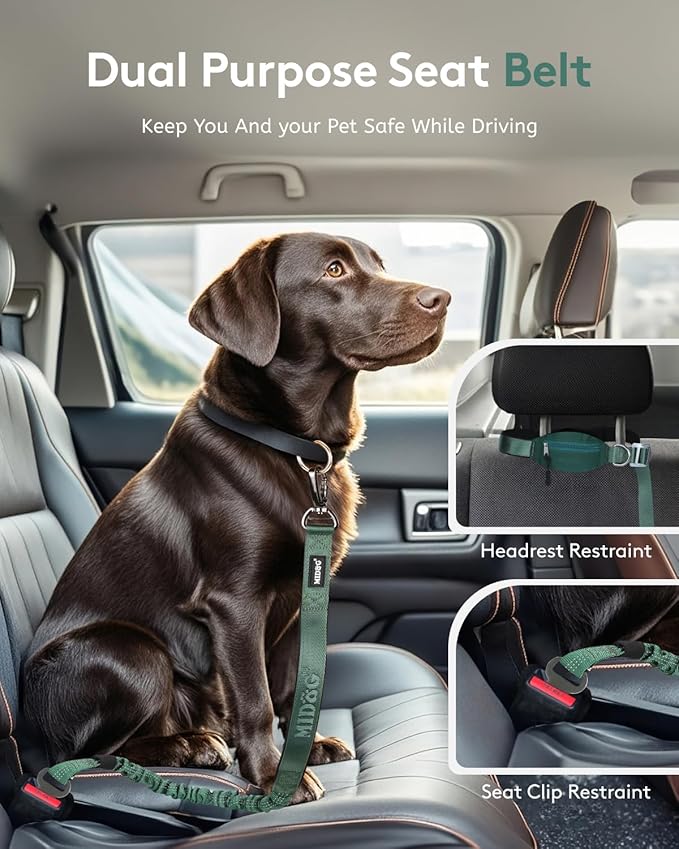 MIDOG Multifunctional Dog Leash Hands Free for Large Dogs - Adjustable Waist Leash with Zipper Pounch& Bungee Cord for Jogging/Running/Walking(4-7FT,Green)
