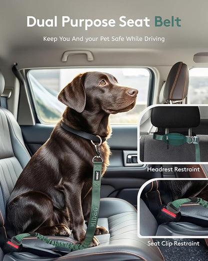 MIDOG Multifunctional Dog Leash Hands Free for Large Dogs - Adjustable Waist Leash with Zipper Pounch& Bungee Cord for Jogging/Running/Walking(4-7FT,Green)