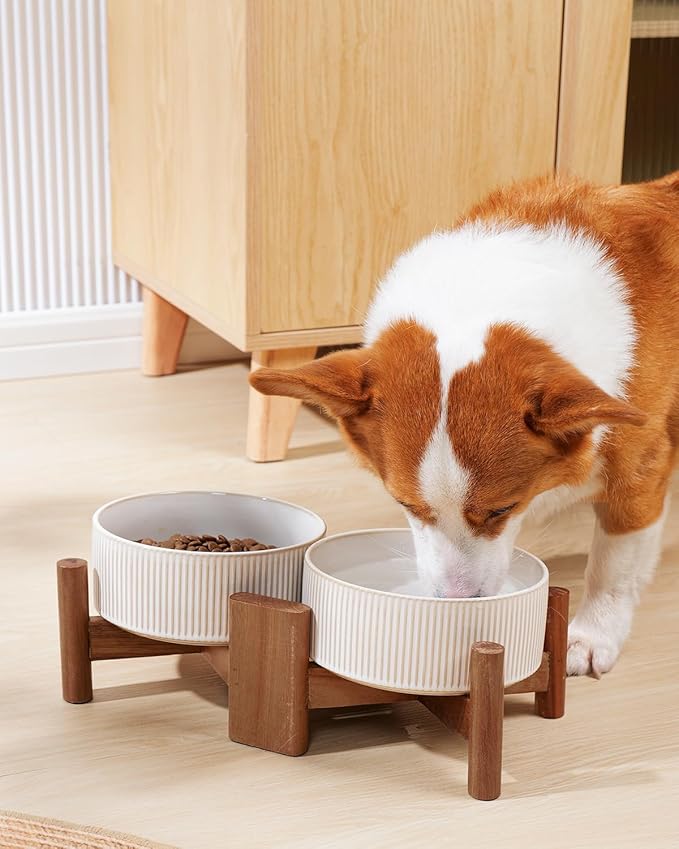 Getstar Ceramic Dog Bowls Set with Acacia Wood Stand, 3.5 Cups Pet Bowls Set of 2 for Medium Dogs, Cute Dog Food Bowl, Cat Bowls