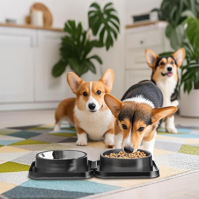Set of 2 Stainless Steel Dog Food and Water Bowl with Puzzle Dish, Freely Combinable Feeding Set for Dogs Cats, Spill Proof Neater Dog Bowls, Pet Feeder Bowl for Puppy Small Breeds