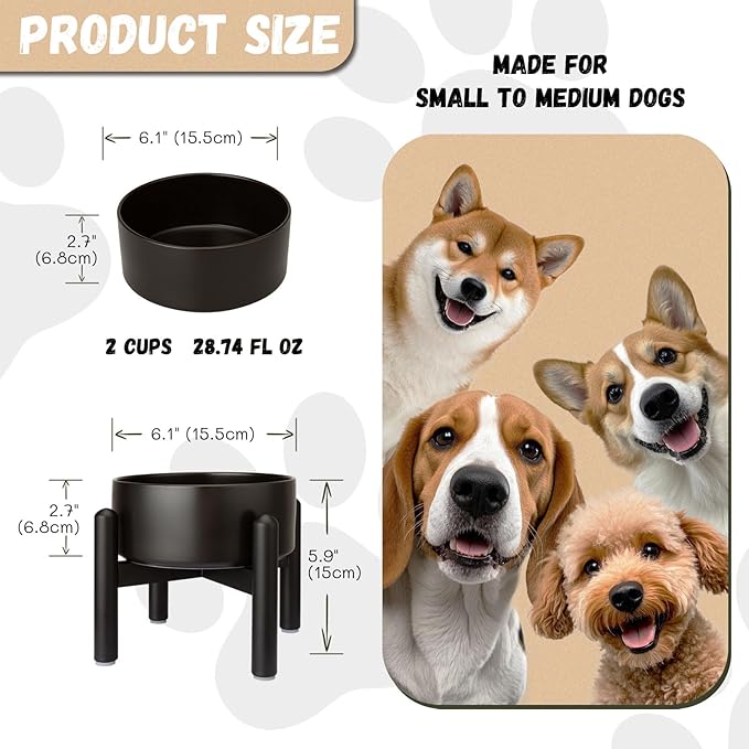 Raised Ceramic Dog Bowl - Elevated Food Water Dish with Stainless Steel Stand - for Small to Medium Dogs - 6 Inch - 2 Cups (28.75 fl oz) - Black