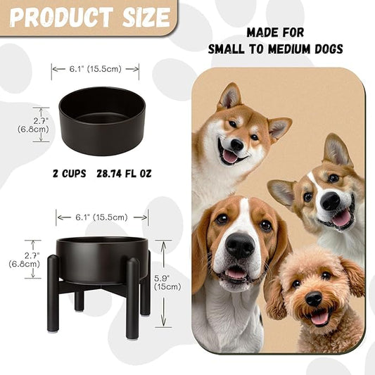 Raised Ceramic Dog Bowl - Elevated Food Water Dish with Stainless Steel Stand - for Small to Medium Dogs - 6 Inch - 2 Cups (28.75 fl oz) - Black