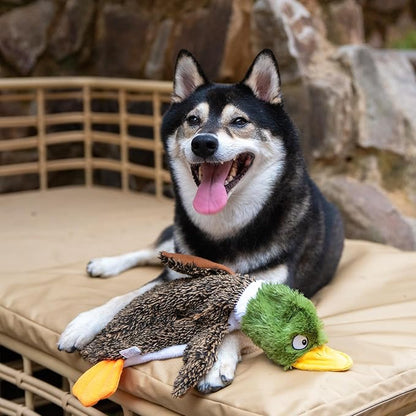 Best Pet Supplies Squeaky Dog Toys with Soft Durable Fabric for Small, Medium and Large Pets Interactive Toy for Indoor Play, Supports Active Biting and Play - 1Wild Duck, Alligator, Medium
