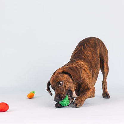 Fringe Studio Plush Dog Toy Set, Farm to Table, Small 3 Piece Set, Pet Shop Collection (662075)
