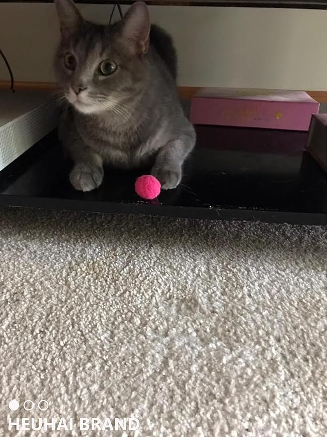 80-Pack Cat Toy Balls 10 Assorted Colors 1.25 Inch Diameter Suitable for All Cat Sizes (Wild Play)