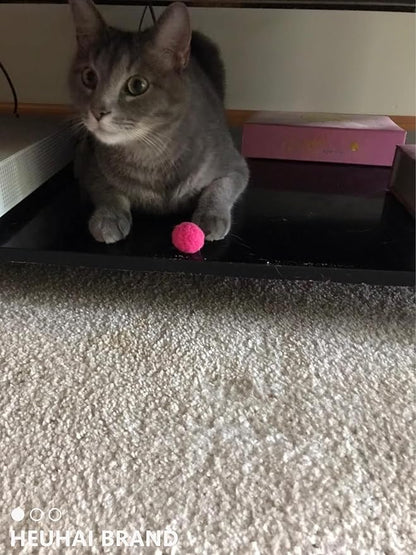 80-Pack Cat Toy Balls 10 Assorted Colors 1.25 Inch Diameter Suitable for All Cat Sizes (Wild Play)