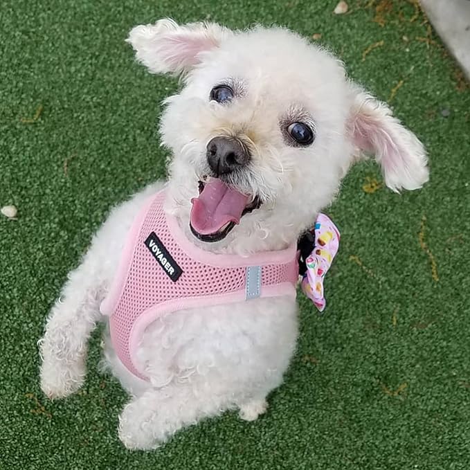 Best Pet Supplies Voyager Step-in Air Harness - All Weather Mesh, Reflective, No Pull Harness for Dogs, Cats - Secure with Hook & Loop Fastener, Buckle, Double D-Rings - Pink, XXXS