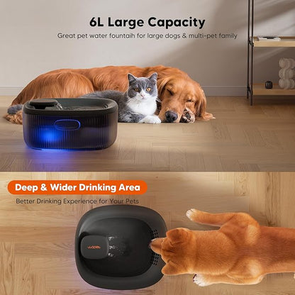 WOPET Dog Water Fountain for Large Dogs, 6L/205oz/1.7Gal Automatic Dog and Cat Water Fountain, Pet Water Dispenser with 5 Filters, Ultra-Quiet Pump, Great for Large Dogs Cats and Multi-Pet Home