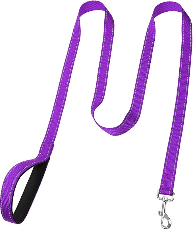 FunTags 6FT Reflective Dog Leash with Soft Padded Handle for Training,Walking Lead for Large & Medium Dog,1 Inch Wide,Purple