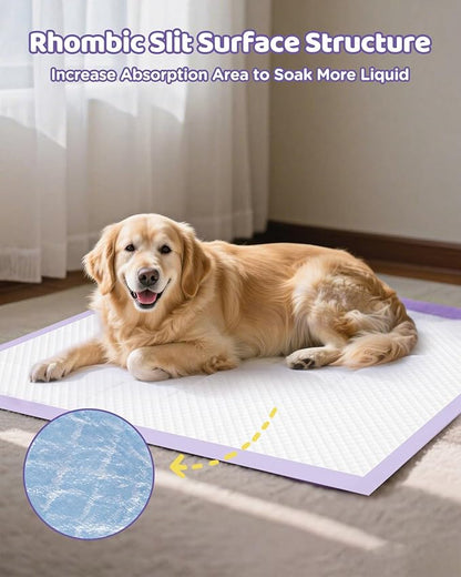 36"x36" 4XL Lavender Scented Disposable Dog Pee Pads, 30 Count | Extra Large Puppy Training Pads with 6-Layer Super Absorbent Protection, Leakproof Puppy Pads for Large Dogs & Senior Pets