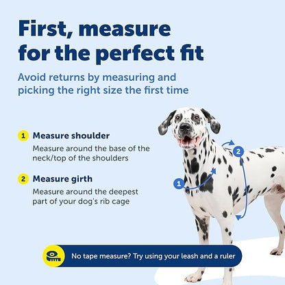 PetSafe 3-in-1 Harness - Comfortable Easy-Walk Dog Chest Harness with Front Leash Attachment to Reduce Pulling, Choking & Gagging - Dog Obedience Gear - Extra Small - Teal