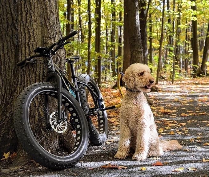 Chain Stay Clamp for Bike Tow Leash