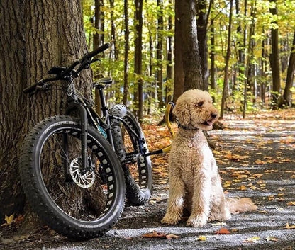 Chain Stay Clamp for Bike Tow Leash