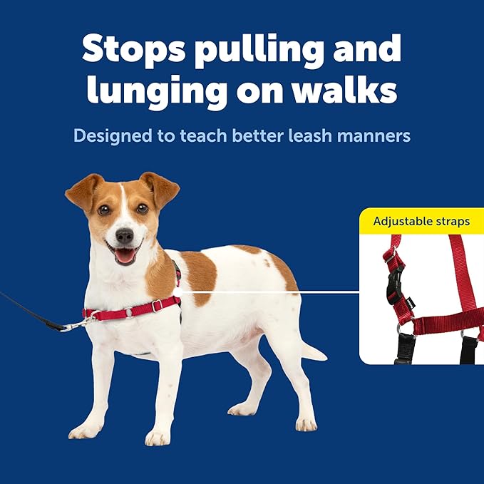 PetSafe Easy Walk Harness for Dogs - Pull-Free Walks - Patented Martingale Loop Design - Front Chest Leash Attachment - Comfort Straps - Breathable Harness Design - Small, Red/Black