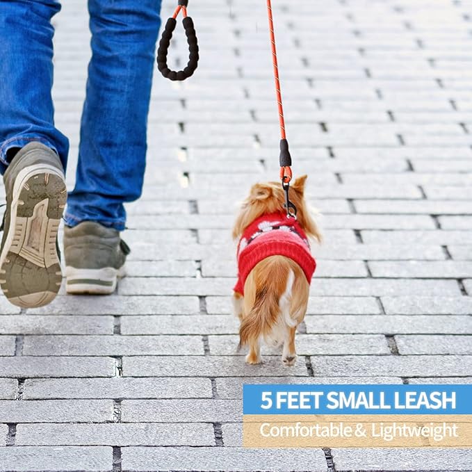 BAAPET 2/4/5/6 FT Dog Leash with Comfortable Padded Handle and Highly Reflective Threads for Small Medium and Large Dogs (5FT-1/3'', Red)