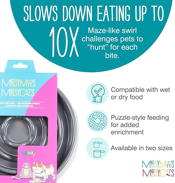 Messy Mutts Interactive Slow Feeder Bowl