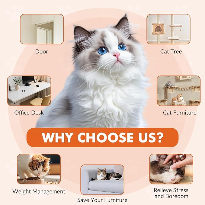 Interactive Cat Toys for Indoor Cats, Automatic Electric Flying Bird Feather Wand Toy, Rechargeable Electric Exercise Feather Toy for Bored Kittens and Adult Cats, Orange